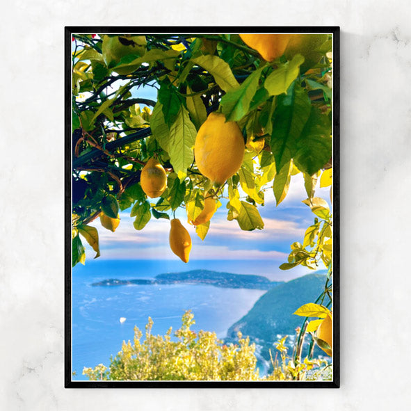 FRENCH RIVIERA LEMONS.