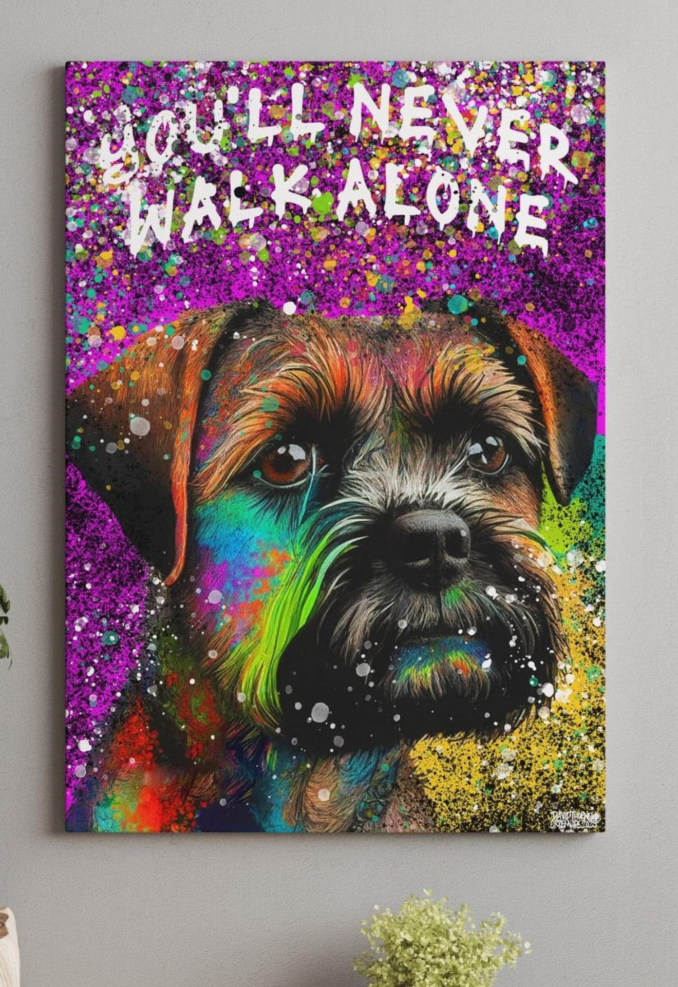 BORDERTERRIER KÄRLEK