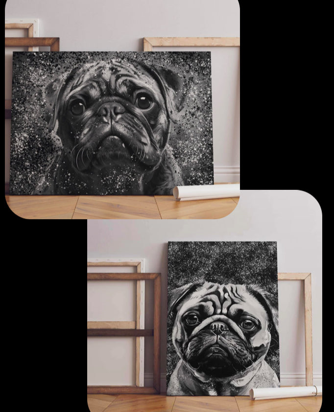 2 mops