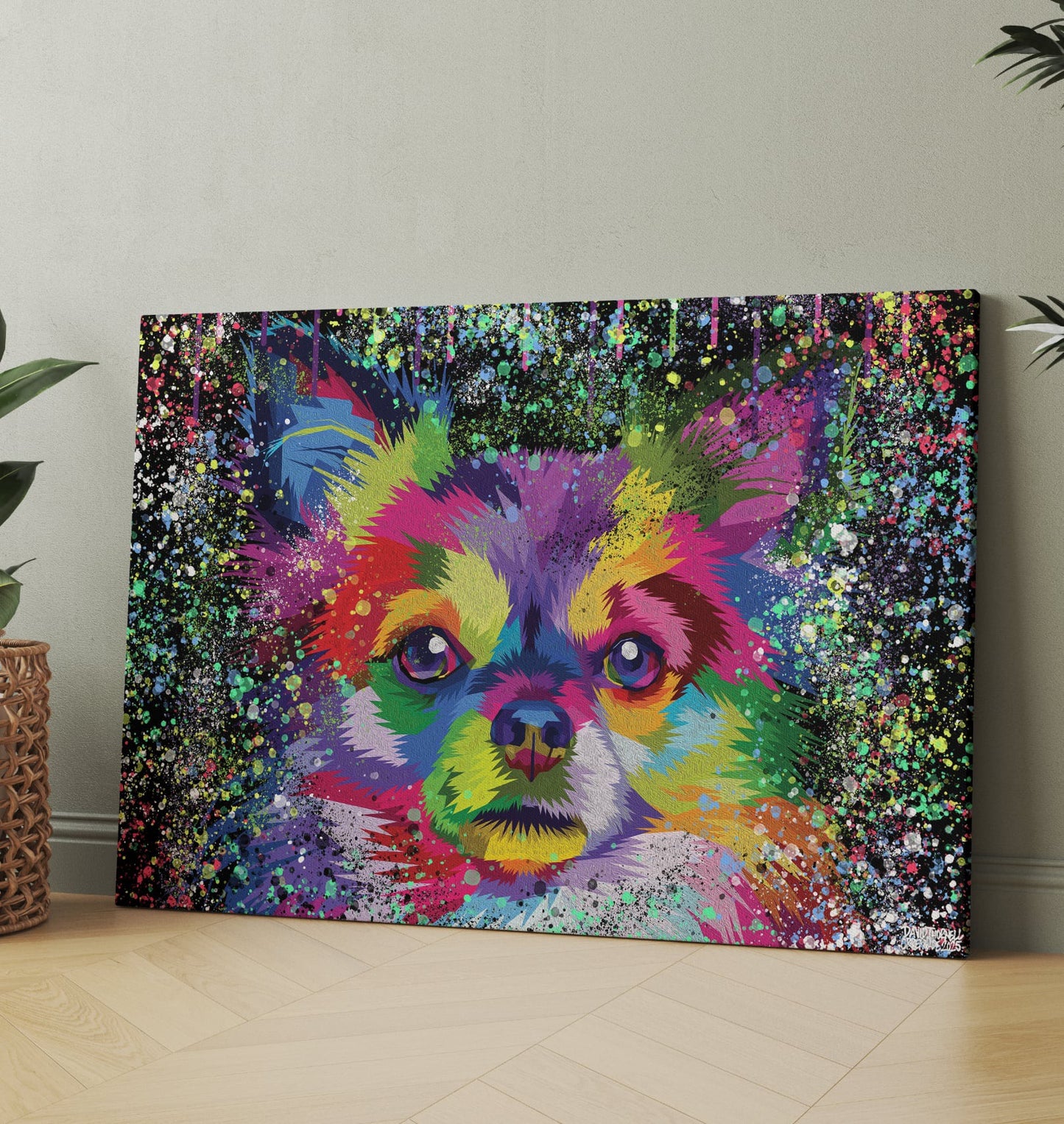 CHIHUAHUA KÄRLEK