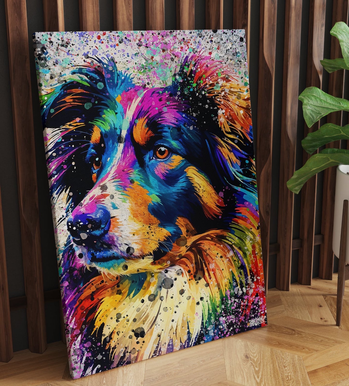 BORDER COLLIE KÄRLEK