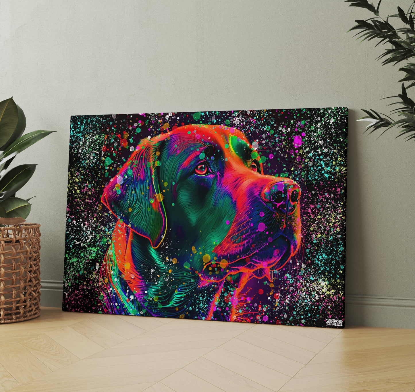 LABRADOR KÄRLEK
