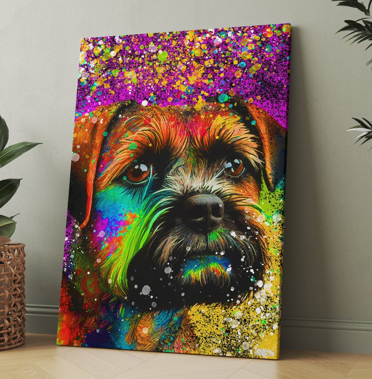 BORDERTERRIER KÄRLEK