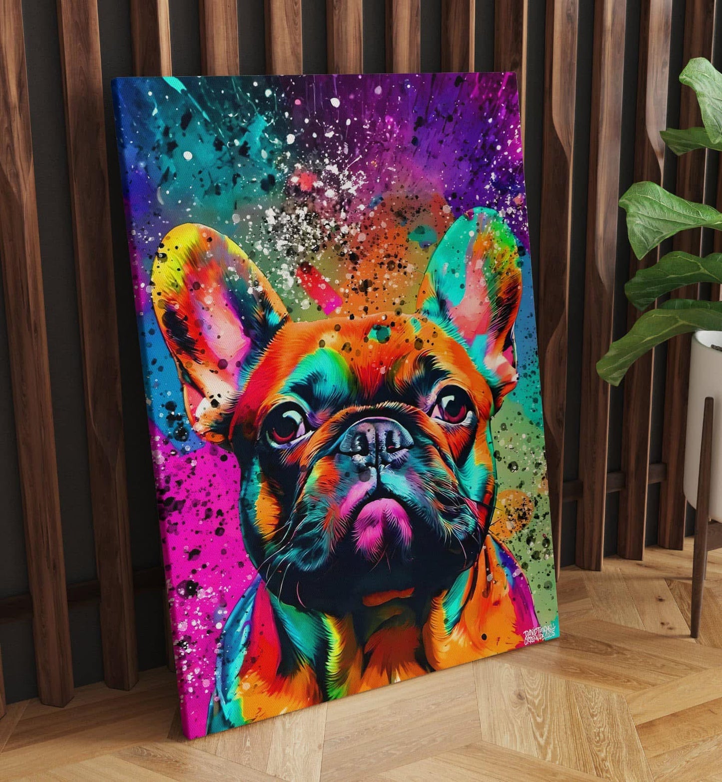 FRANSK BULLDOGG