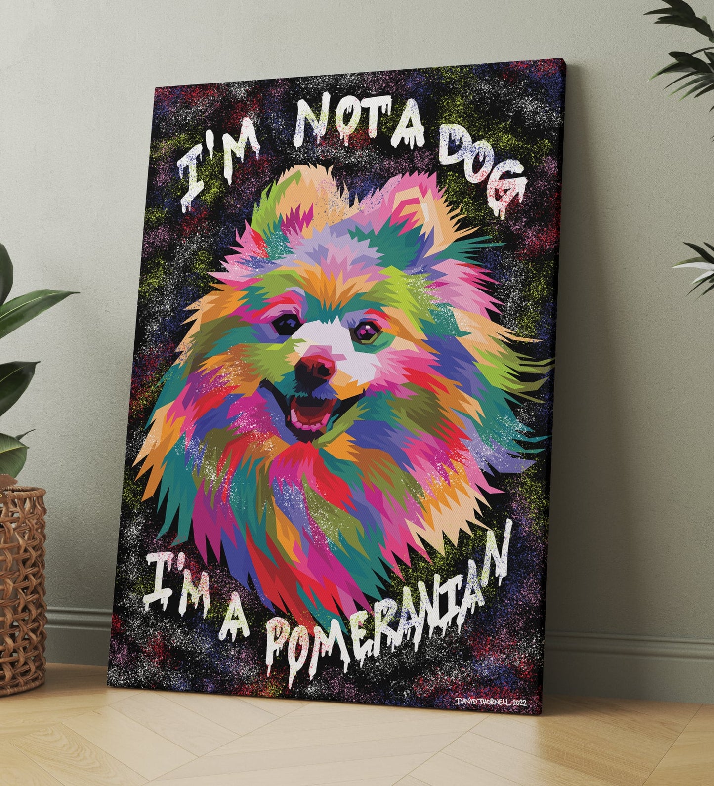 POMERANIAN