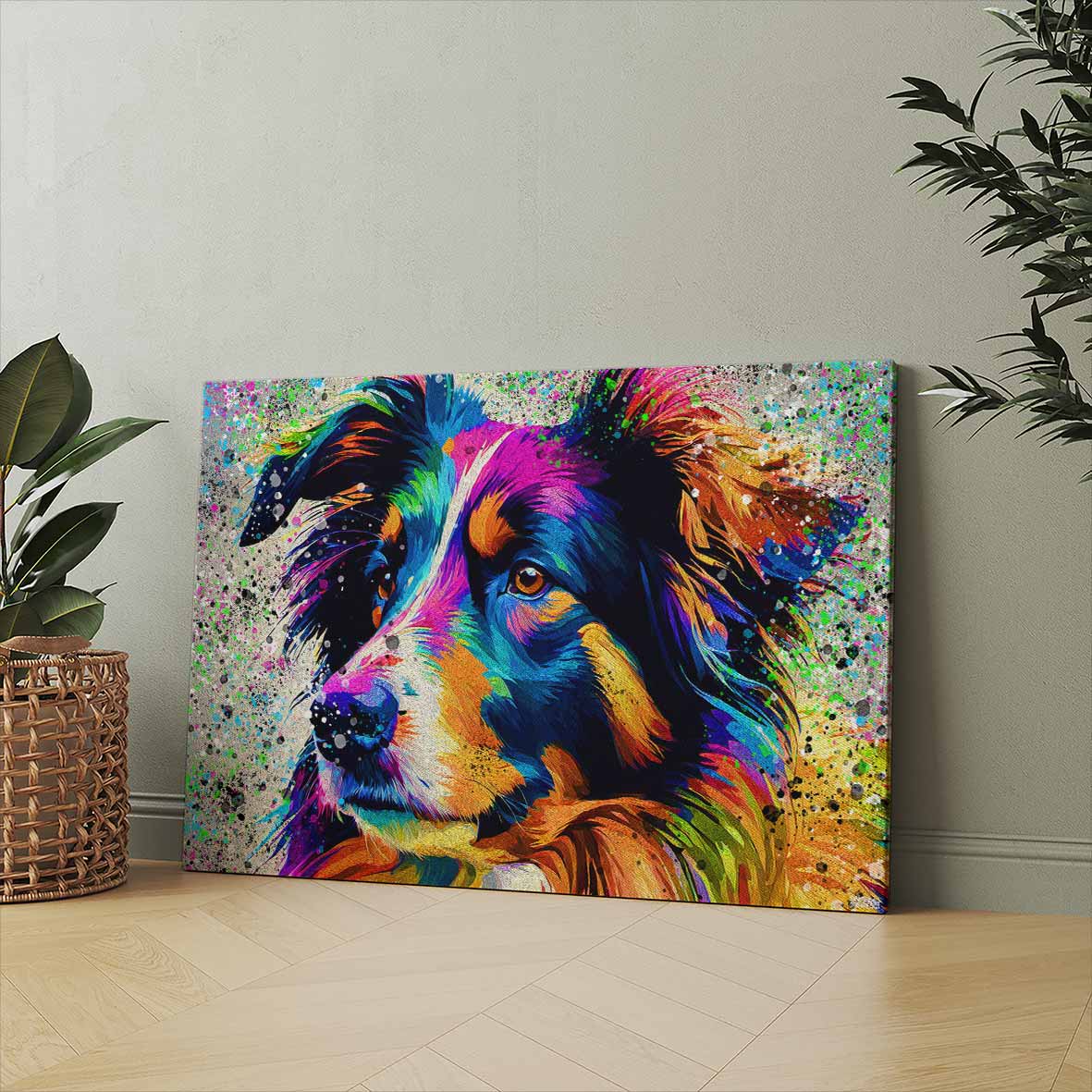 BORDER COLLIE