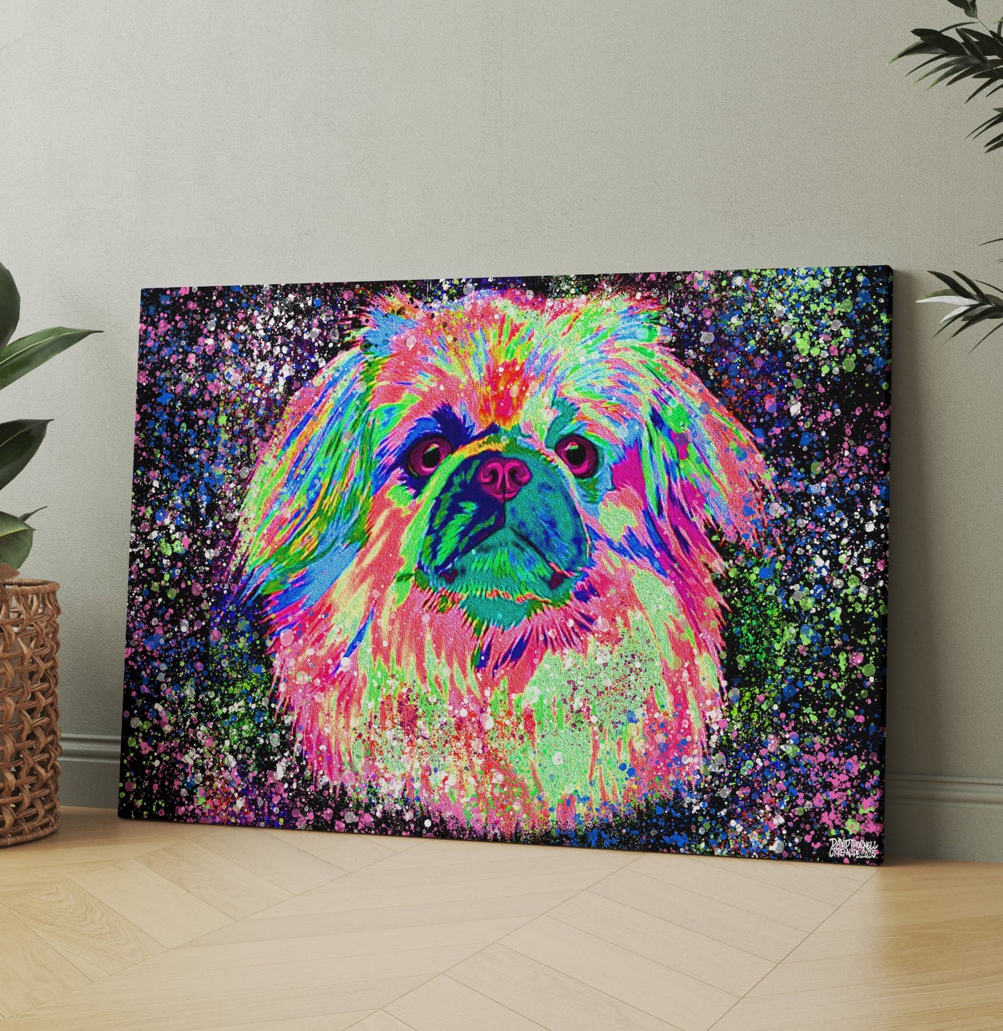 TIBETANSK SPANIEL