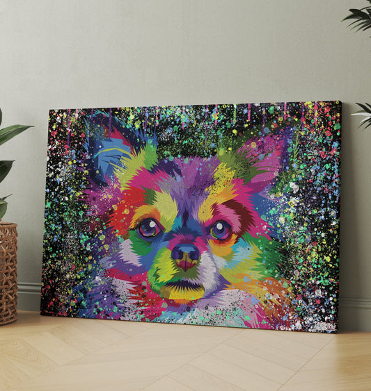 CHIHUAHUA KÄRLEK