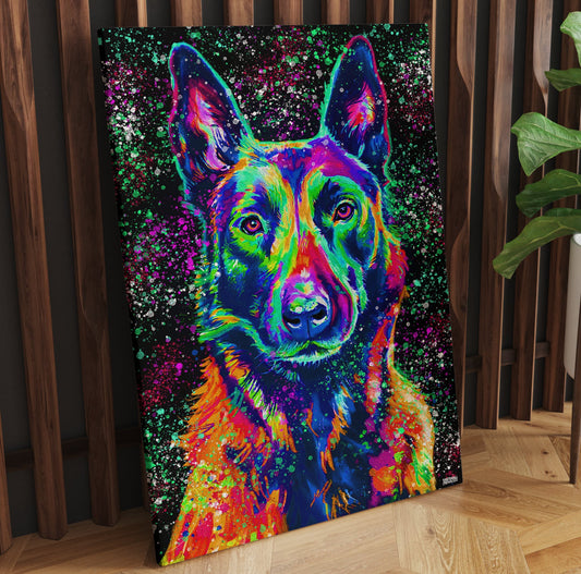 MALINOIS KÄRLEK